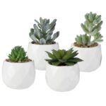 4.3” Faux Succulent Plant in Ceramic Pot - Chic Decora