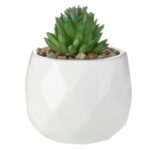 4.3” Faux Succulent Plant in Ceramic Pot - Chic Decora