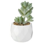 4.3” Faux Succulent Plant in Ceramic Pot - Chic Decora