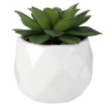 4.3” Faux Succulent Plant in Ceramic Pot - Chic Decora