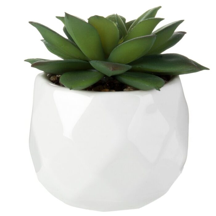 4.3” Faux Succulent Plant in Ceramic Pot - Chic Decora