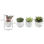 4.33” Faux Succulent Plant in Ceramic Pot - Chic Decora