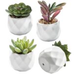 4.33” Faux Succulent Plant in Ceramic Pot - Chic Decora