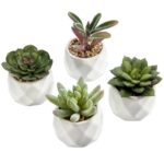 4.33” Faux Succulent Plant in Ceramic Pot - Chic Decora