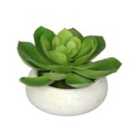 4.5” Faux Succulent Plant in Ceramic Vase - Chic Decora