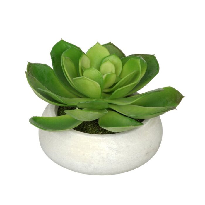 4.5” Faux Succulent Plant in Ceramic Vase - Chic Decora