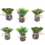 4.5” Faux Succulent Plant in Glass Vase - Chic Decora