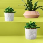 4.5” Faux Succulent in Cement Pot - Chic Decora