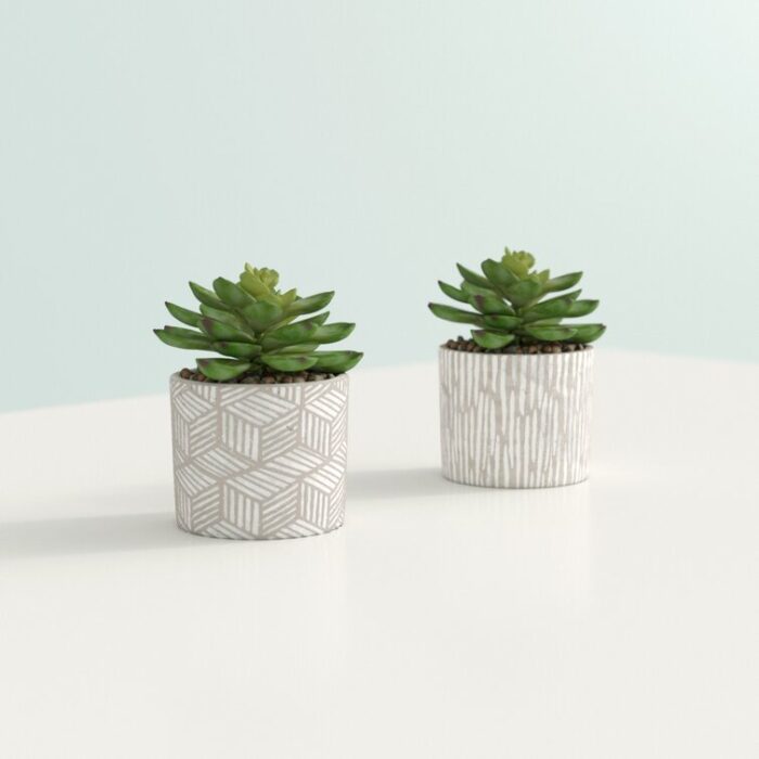 4.5” Faux Succulent in Cement Pot - Chic Decora