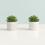 4.5” Faux Succulent in Cement Pot - Chic Decora