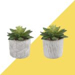 4.5” Faux Succulent in Cement Pot - Chic Decora