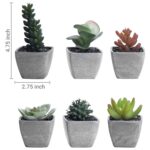 4.72” Faux Plant in Pot - Chic Decora