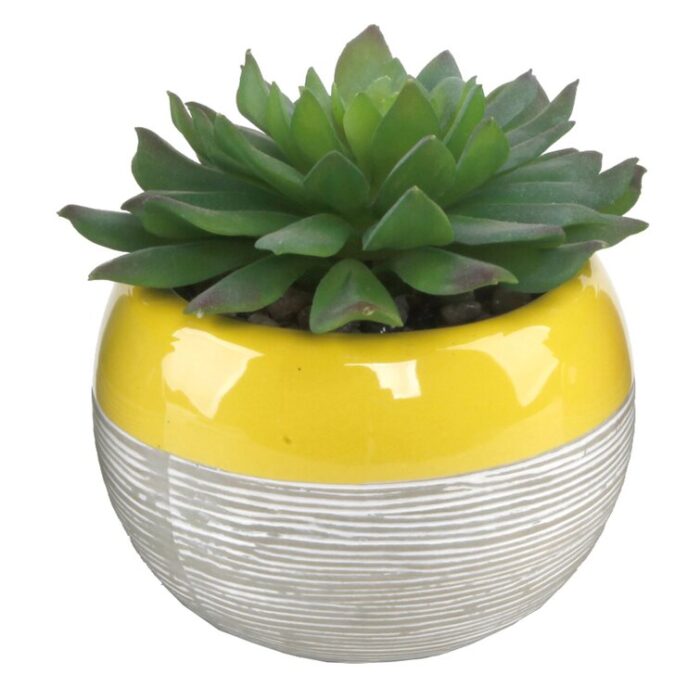 4.75” Faux Succulent Plant in Ceramic Pot - Chic Decora