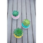 4.75” Faux Succulent Plant in Ceramic Pot - Chic Decora