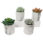 4.75” Faux Succulent Plant in Fake Marble Pot - Chic Decora