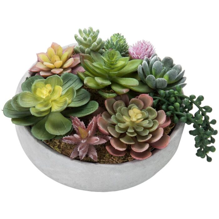 4.8” Faux Succulent - Chic Decora