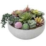 4.8” Faux Succulent - Chic Decora