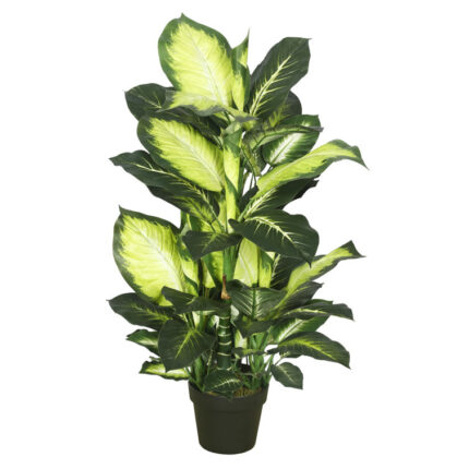 40″ Artificial Green and White Dieffenbachia - Chic Decora