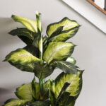 40″ Artificial Green and White Dieffenbachia - Chic Decora