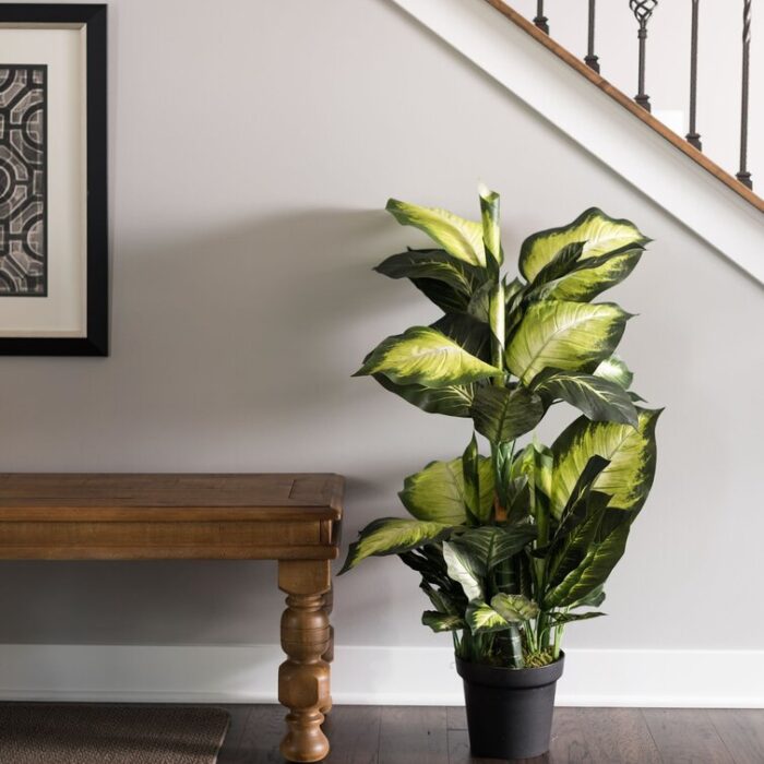 40″ Artificial Green and White Dieffenbachia - Chic Decora