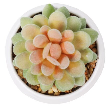 4” Faux Succulent Plant in Pot - Chic Decora