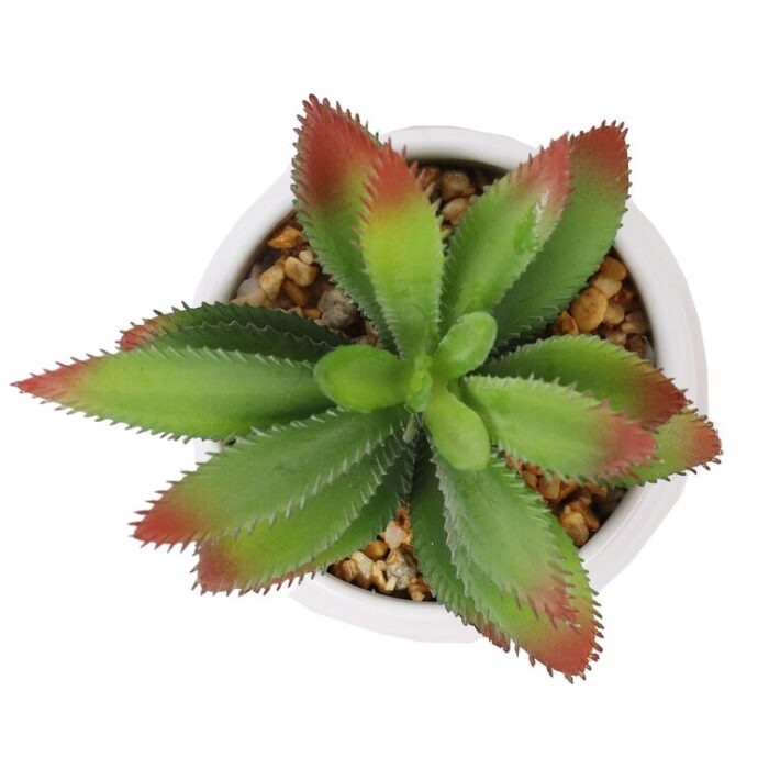 4” Faux Succulent Plant in Pot - Chic Decora