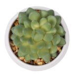 4” Faux Succulent Plant in Pot - Chic Decora