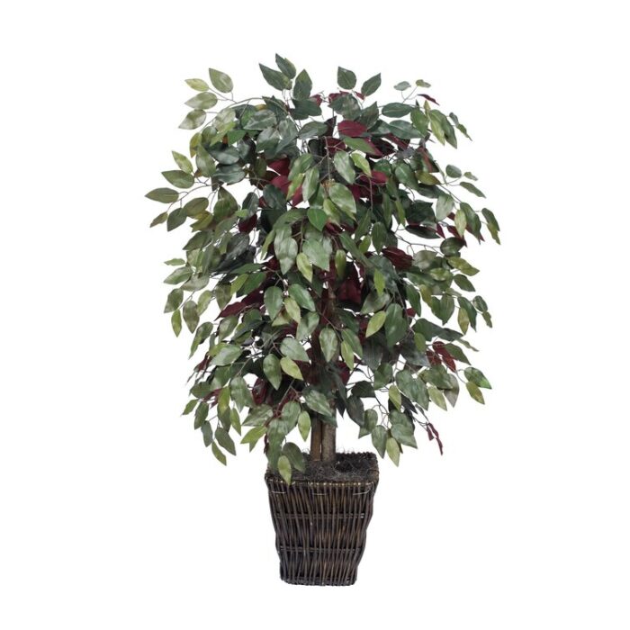 4′ Artificial Capensia Bush, Square Willow Basket - Chic Decora