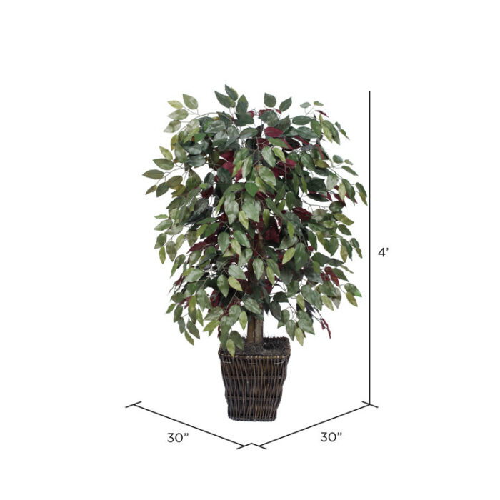 4′ Artificial Capensia Bush, Square Willow Basket - Chic Decora