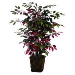 4′ Artificial Capensia Bush, Square Willow Basket - Chic Decora