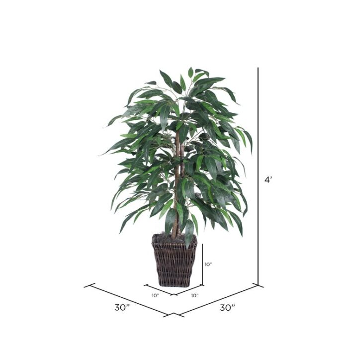 4′ Artificial Mango Bush, Square Willow Basket. - Chic Decora