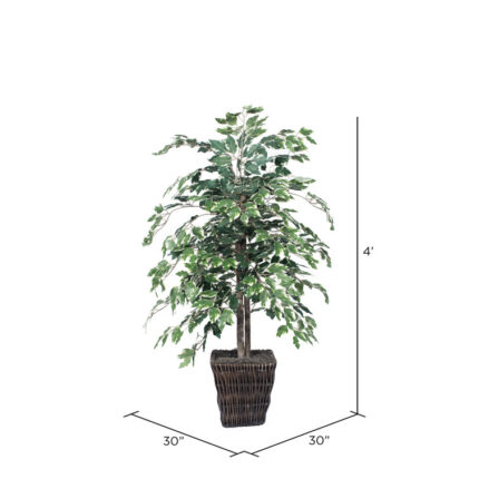 4′ Artificial Variegated Ficus Bush, Square Willow Basket - Chic Decora