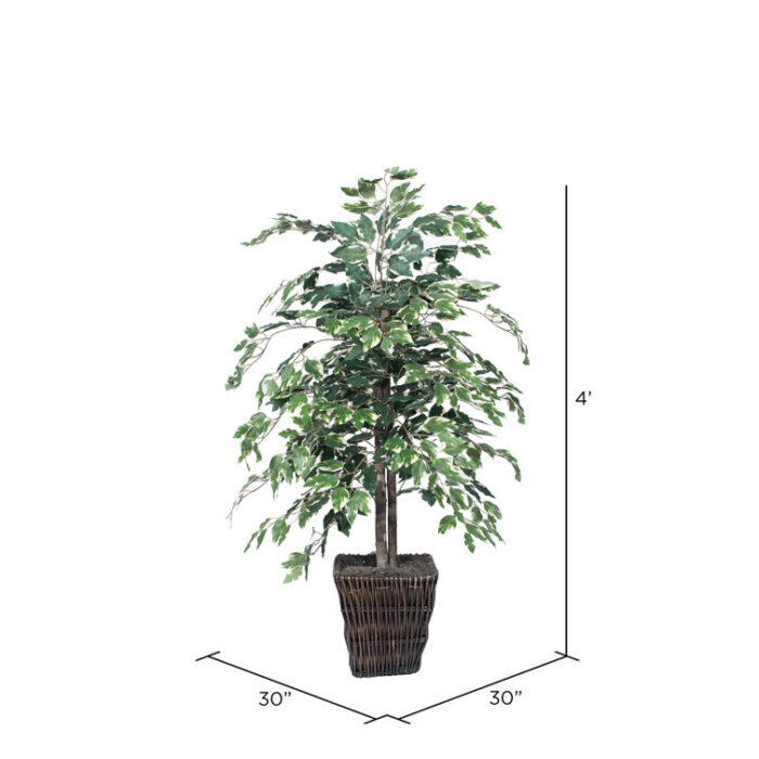 4′ Artificial Variegated Ficus Bush, Square Willow Basket - Chic Decora