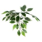 4′ Artificial Variegated Ficus Bush, Square Willow Basket - Chic Decora