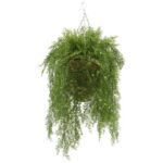 24” Faux Fern Plant in Basket - Chic Decora