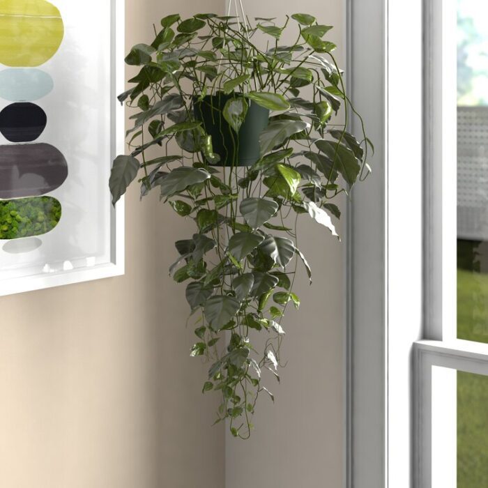 44” Faux Philodendron Plant in Basket - Chic Decora