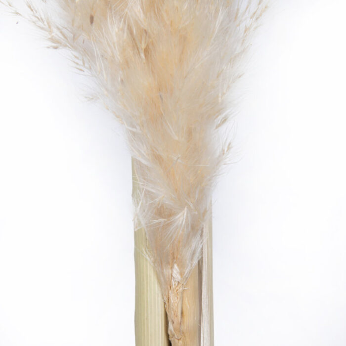 46” Pampas Grass Plant - Chic Decora