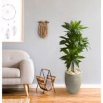 48” Faux Dracaena Plant in Planter - Chic Decora