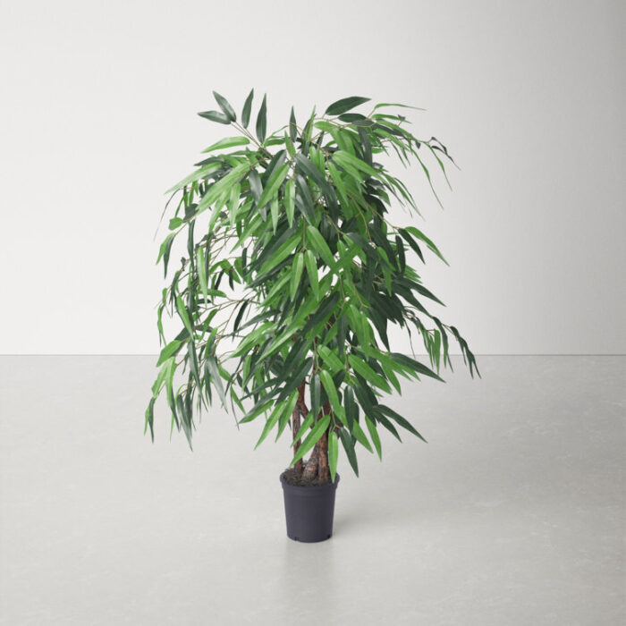 48” Faux Mango Plant in Pot Liner - Chic Decora