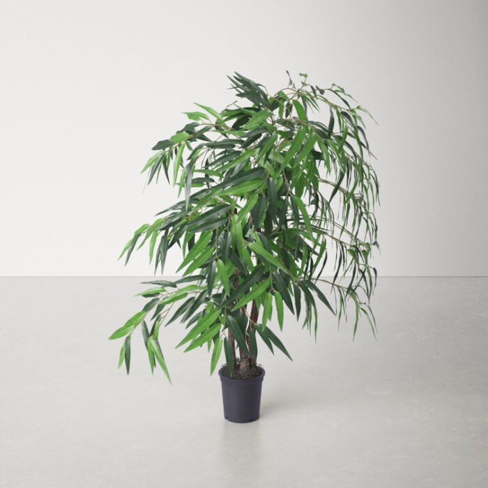 48” Faux Mango Plant in Pot Liner - Chic Decora