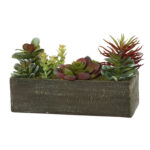 5.25” Faux Succulent Plant in Wood Planter - Chic Decora