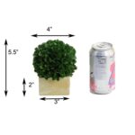 5.5” Faux Boxwood Topiary - Chic Decora