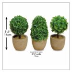 5.5” Faux Boxwood Topiary in Pot - Chic Decora