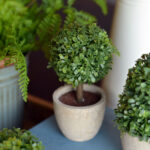 5.5” Faux Boxwood Topiary in Pot - Chic Decora