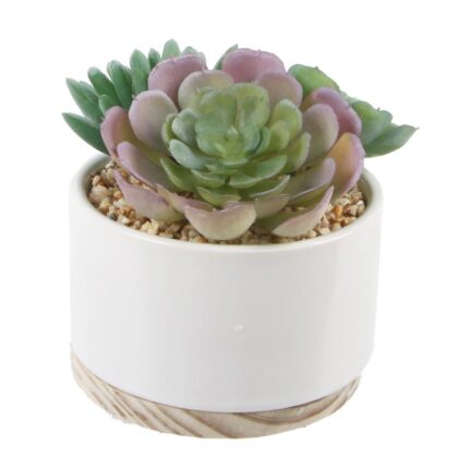 5.5” Faux Succulent Plant in Ceramic Pot - Chic Decora