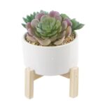 5.5” Faux Succulent Plant in Ceramic Pot - Chic Decora