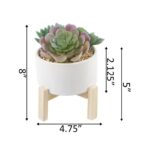 5.5” Faux Succulent Plant in Ceramic Pot - Chic Decora