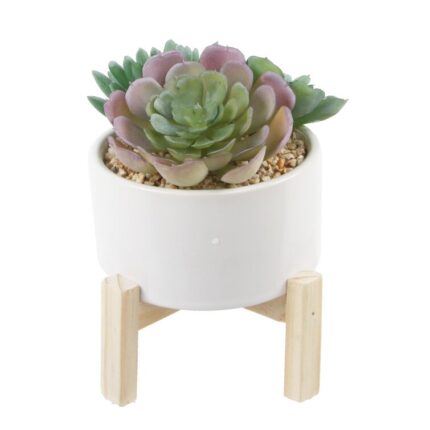 Faux Succulents In White Planter w/ Wood Base - Chic Decora