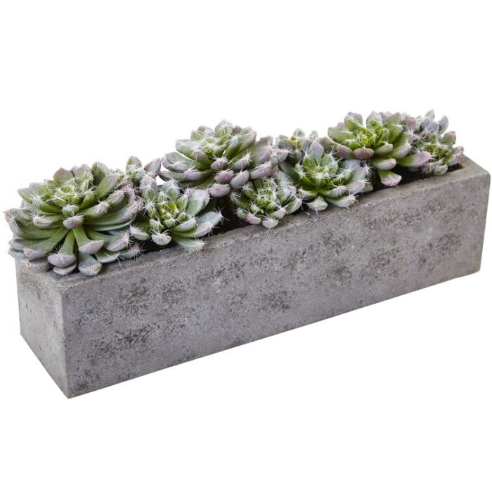 5.5” Faux Succulent Plant in Stone Planter - Chic Decora