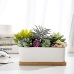 5.5” Faux Succulent in Ceramic Pot - Chic Decora